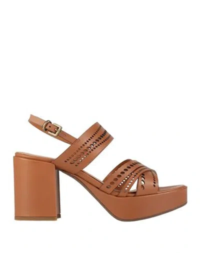 Lorenzo Mari Woman Sandals Tan Size 6 Cowhide In Brown