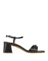 Loretta Pettinari Sandals In Black