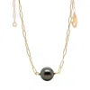 Lori Kaplan Design Women's Black / Gold Single Black Tahitian Pearl Gold Choker In Multi