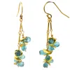 Lori Kaplan Design Women's Gold / Blue Aqua Apatite Earrings In Multi