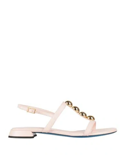 Loriblu Woman Sandals Light Pink Size 7 Leather In Animal Print