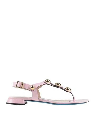 Loriblu Woman Thong Sandal Pink Size 7 Leather