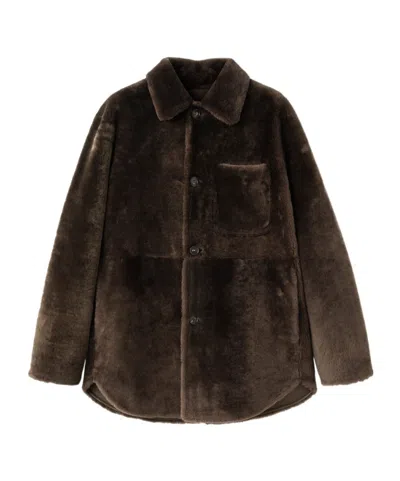 Loro Piana Aldo Shearling Jacket In Brown