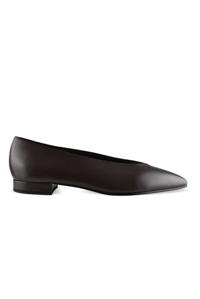 Loro Piana Ballerinas Rebecca In Brown