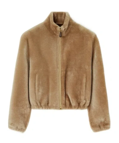 Loro Piana Bomber Jacket In Brown