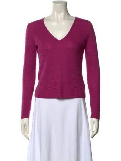 Pre-owned Loro Piana Cashmere V-neck Sweater In Purple