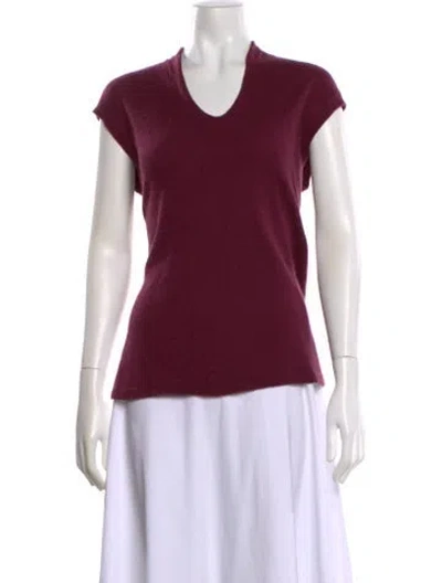 Pre-owned Loro Piana Cashmere V-neck Sweater In Purple