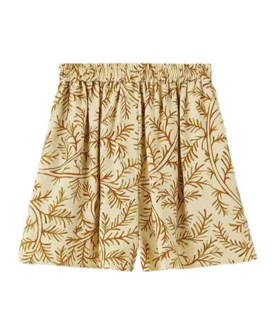 Loro Piana Corbin Shorts In Multi