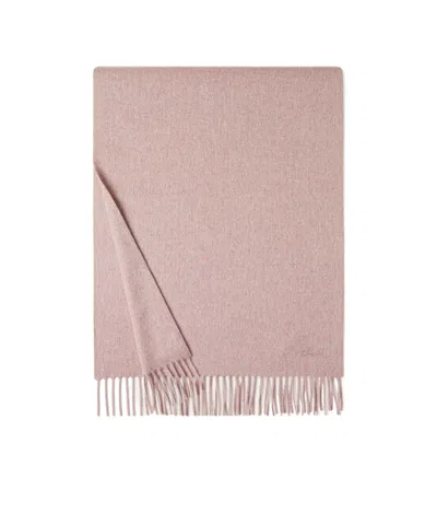 Loro Piana Extra Grande Unita Scarf In Brown