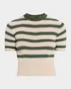Loro Piana Fobello Cashmere Striped Crewneck Sweater In Animal Print