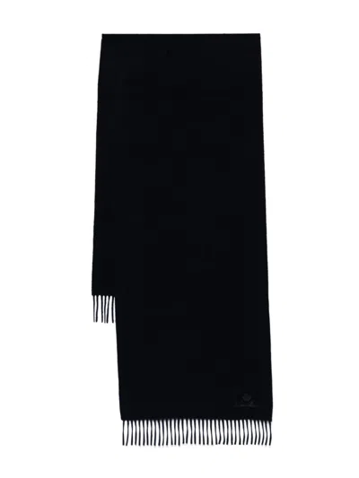 Loro Piana Grand Unita Scarf In Blue