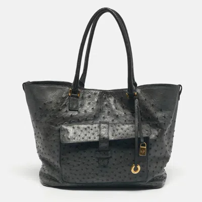 Pre-owned Loro Piana Grey Ostrich Globe Tote In Gray