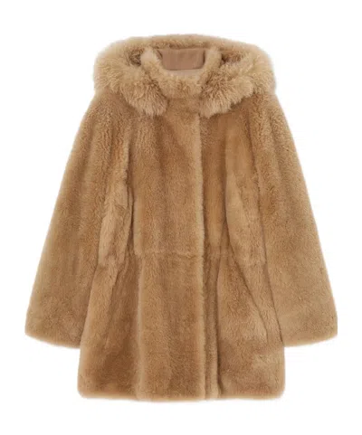 Loro Piana Icer Parka In Almondine