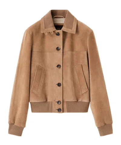 Loro Piana Maremma Bomber Jacket In Brown