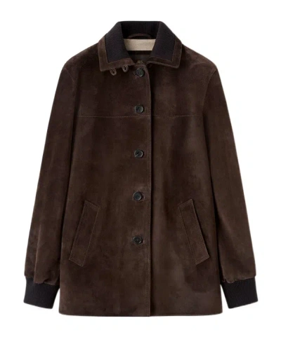 Loro Piana Maremma Jacket In Brown