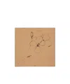 Loro Piana Pattern Silk Scarf In Pine Nuts/carob Bean