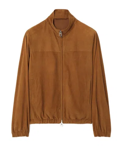 Loro Piana Pilot Leather Jacket In Brown