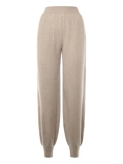 Loro Piana Ribbed Trousers In Brown