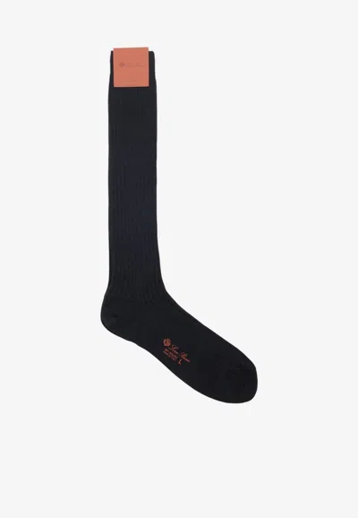 Loro Piana Sottile Wool And Silk Ribbed Socks In Gray
