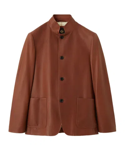 Loro Piana Spagna Jacket In Brown
