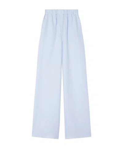 Loro Piana Valerio Pants In Blue