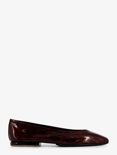 Loro Piana Women Animalier Patent Leather Ballerinas