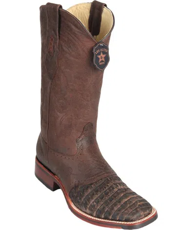 Pre-owned Los Altos Boots Los Altos Brown Caiman Crocodile Square Toe Tpu Rubber Sole Western Boot D In Sanded Brown
