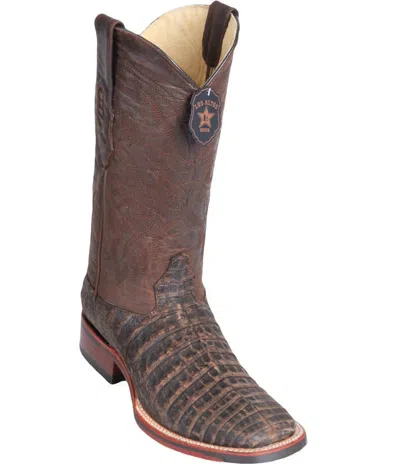 Pre-owned Los Altos Boots Los Altos Brown Caiman Crocodile Square Toe Tpu Rubber Sole Western Boot D Width