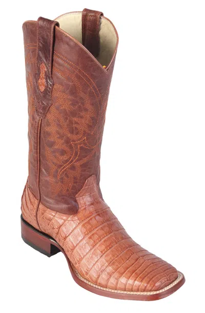 Pre-owned Los Altos Boots Los Altos Cognac Genuine Crocodile Caiman Square Toe Western Cowboy Boot Ee+ In Brown