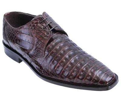 Pre-owned Los Altos Boots Los Altos Genuine Brown Crocodile Caiman Belly Oxfords Dress Shoe Ee