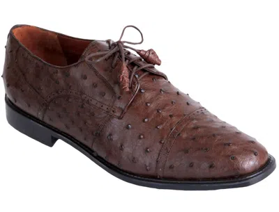 Pre-owned Los Altos Boots Los Altos Genuine Brown Ostrich Oxfords Dress Shoe D