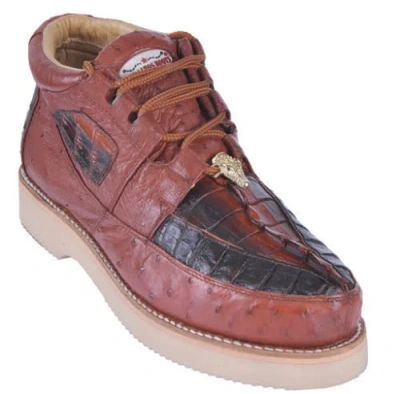Pre-owned Los Altos Boots Los Altos Genuine Cognac Caiman Crocodile Ostrich Casual Shoes Lace Up Ee In Brown