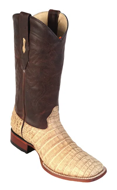 Pre-owned Los Altos Boots Los Altos Honey Genuine Crocodile Caiman Square Toe Western Cowboy Boot Ee In Yellow