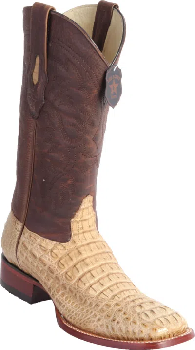 Pre-owned Los Altos Boots Los Altos Honey Genuine Hornback Caiman Crocodile Square Western Cowboy Boot D In Honey Beige