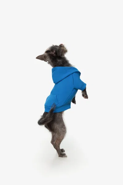 Los Angeles Apparel Ff997 - Flex Fleece Dog Zip Hoodie In Blue