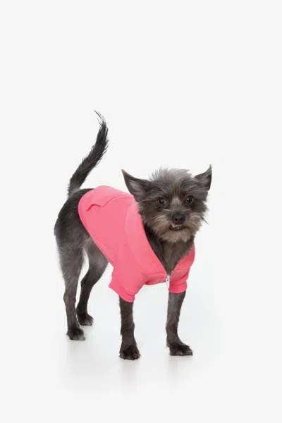 Los Angeles Apparel Ff997 - Flex Fleece Dog Zip Hoodie In Pink
