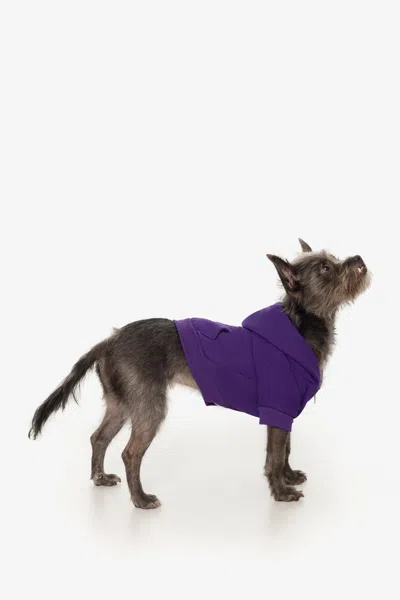 Los Angeles Apparel Ff997 - Flex Fleece Dog Zip Hoodie In Purple