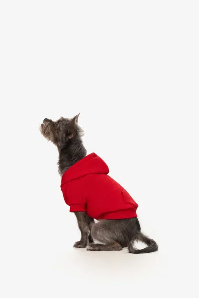 Los Angeles Apparel Ff997 - Flex Fleece Dog Zip Hoodie In Red