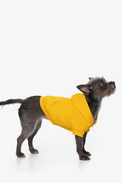 Los Angeles Apparel Ff997 - Flex Fleece Dog Zip Hoodie In Yellow