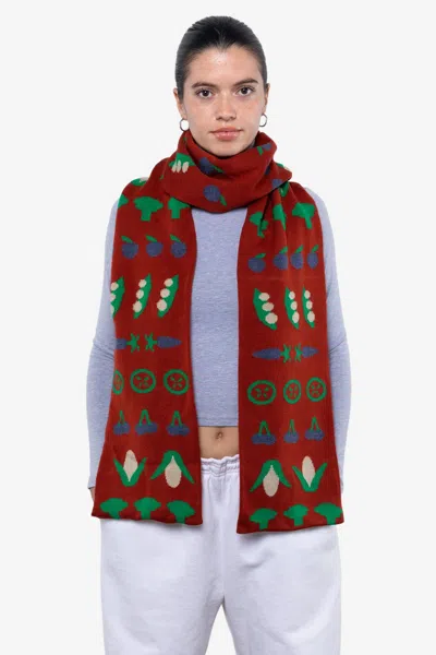 Los Angeles Apparel Jqscarf37 - Farm Scarf In Denim/rust