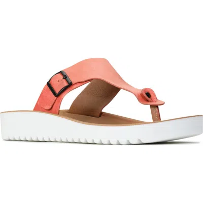 LOS CABOS LOS CABOS NINE THONG SANDAL