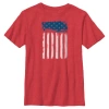 Lost Gods Boy's  Fourth Of July  Streak American Flag  Graphic T-shirt In Red