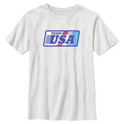 Lost Gods Kids' Boy's  Retro Stripes Usa Badge Graphic T-shirt In Gray