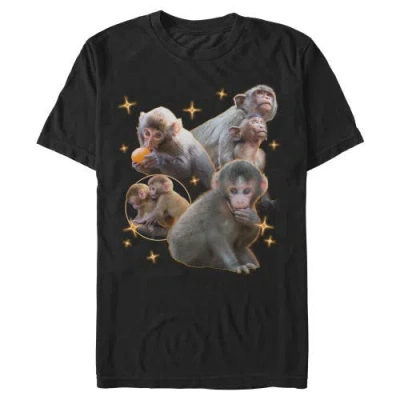 Lost Gods Macaque Punch Retro Collage  Graphic T-shirt In Black