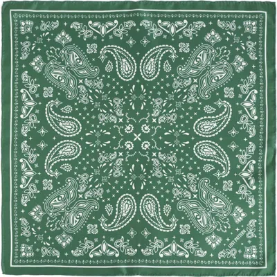 Lost Pattern Nyc "paisley" Silk Bandana Scarf In Green