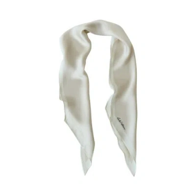 Lost Pattern Nyc "satin" Silk Neck Scarf In Brown