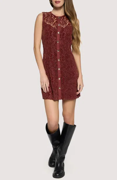 Lost + Wander Merlot Whisper Floral Lace Minidress In Chestnut