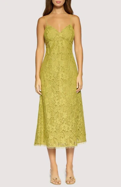 Lost + Wander Serafina Floral Lace Cotton Blend Midi Dress In Green