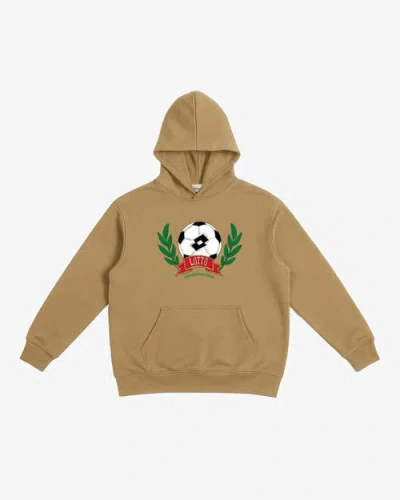 Lotto Pullover Organic Cotton Hoodie In Brown