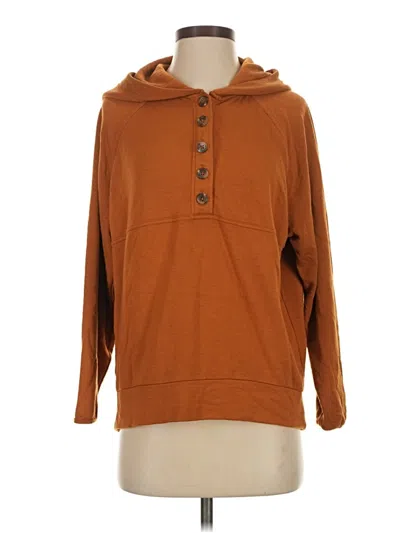 Pre-owned Lou & Grey Pullover Sweater In Brown